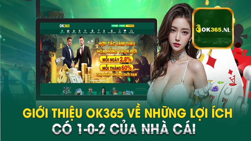 Vì sao bạn nên tham gia đặt cược tại nhà cái Ok365